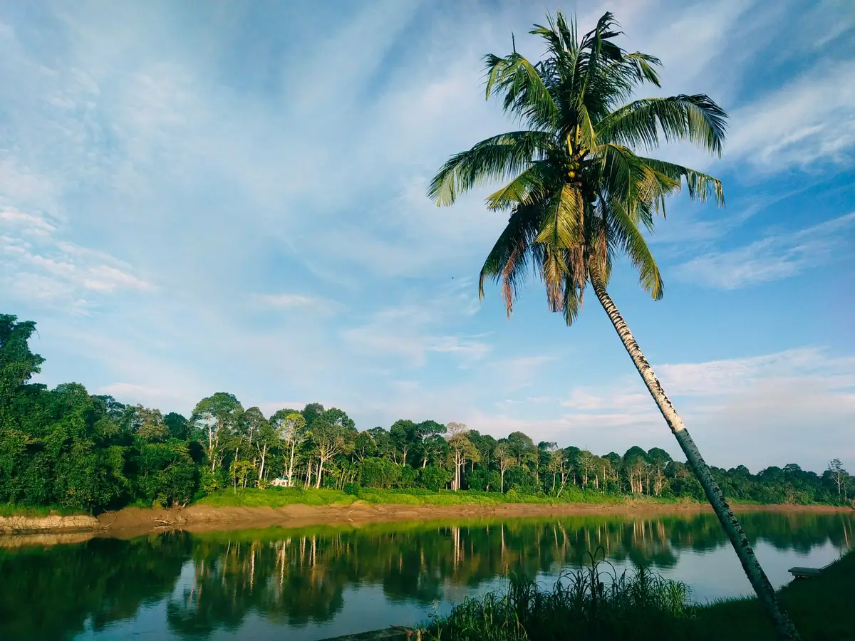 Rainforest river in Taman Negara Malaysia